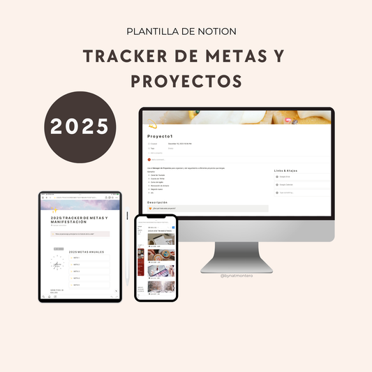 Tracker De Metas y Proyectos 2025